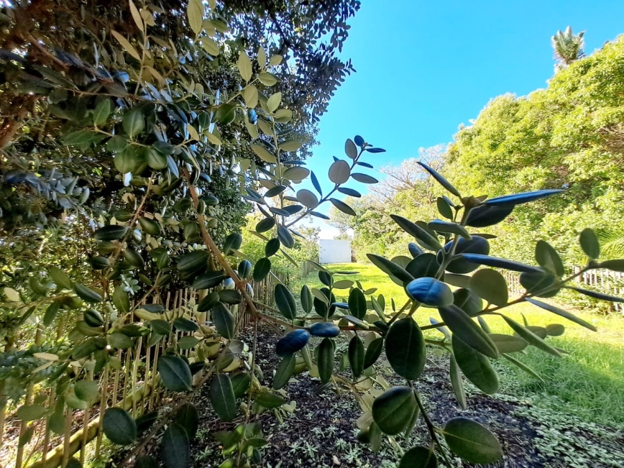 0 Bedroom Property for Sale in Bowtie Western Cape